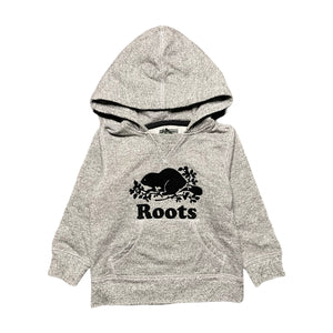 Roots Grey Hoodie