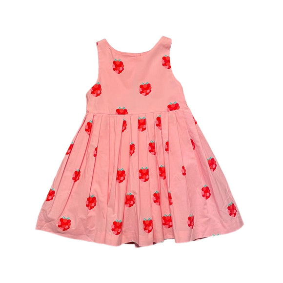 Jacadi Cotton Poplin Raspberry Dress