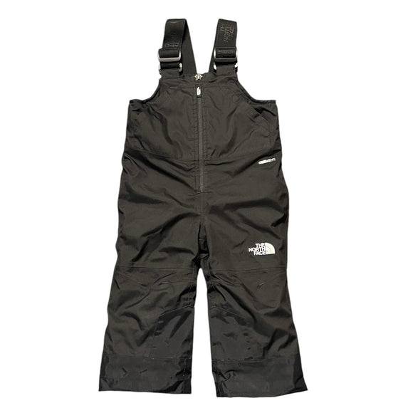 North Face Freedom Insulated Bib Snowpants