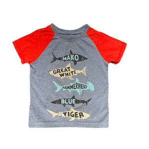 Hatley Sharks Raglan T-Shirt