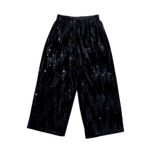 Zara Sequin Velvet Wide Leg Pants